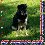 Michelle Salamone's photo