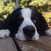 Sandy Ivey's photo