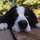 sandy_ivey