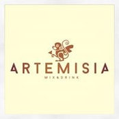 Damiano Tommaso Artemisia's photo