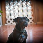 Marc Romkey's photo