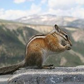 Brandy Bishop's photo