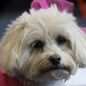 Karin McKemey's photo