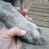 Josiane Miot's photo