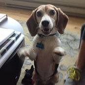Jennifer La Macchia's photo