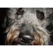 Elizabeth Rychcik's photo