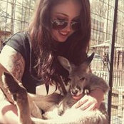 Jordan Wiggins's photo