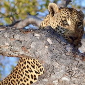 Kelly Hardy's photo