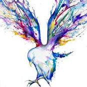 Laurie Boudet's photo