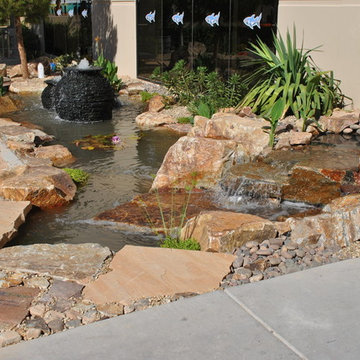 Pond Build for Nat Geo Wild’s & Animal Planet's “Tanked” Headquarters!