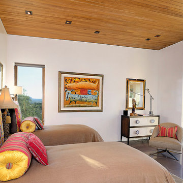 2020 Haciendas Parade of Homes Winner- Mid Century Modern