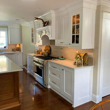 Custom White Transitional Kitchen