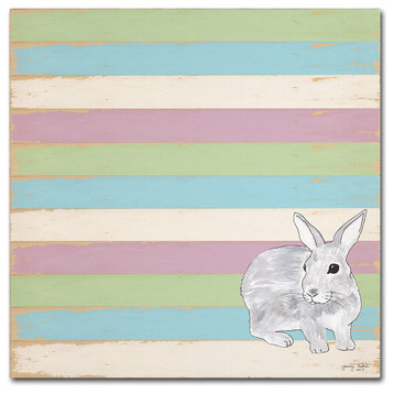 Tammy Kushnir 'Rabbit Grey' Canvas Art, 24" x 24"