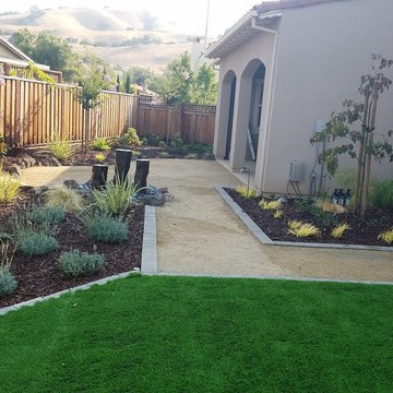 Brand New Landscape