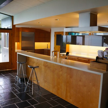 mid century sewer park remodel