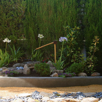 A big change to be Japanese Garden