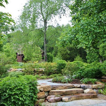 Landscape Ideas
