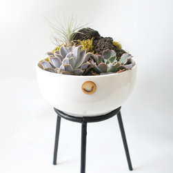 Terrarium in shapes - Products