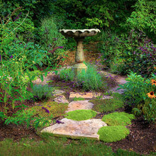 landscaping ideas