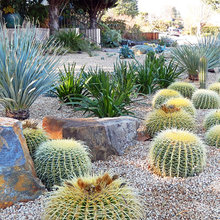 Xeriscape