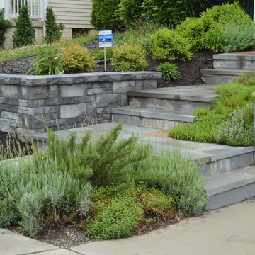 Potomac, Maryland - Contemporary Landscape Phase 1