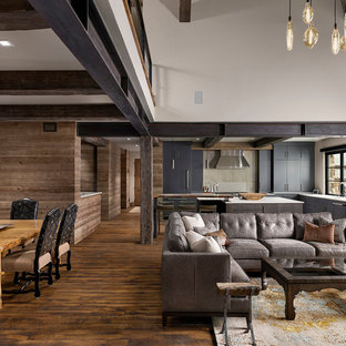 デンバーの広いラスティックスタイルのLDKの画像