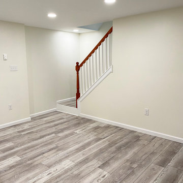Basement Renovation
