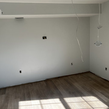 Basement Remodel