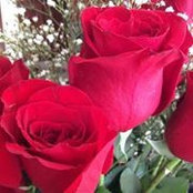Laura Skeen's photo
