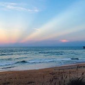 Mark Owens's photo