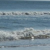 Elisabeth Cartwright's photo
