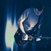 David Langstaffs foto