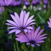 Rosemary McLaughlin Wendling's photo