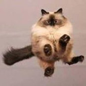 Felat Delibalta's photo