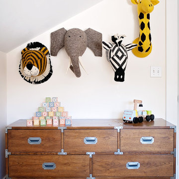 Safari Theme Boy Room