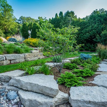 Front yard landscaping