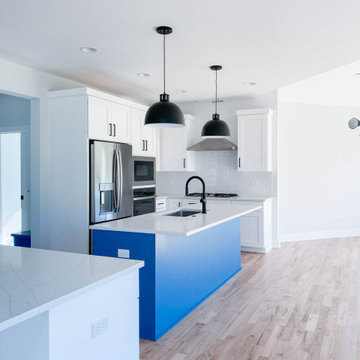 Modified Laguna | Downers Grove, IL