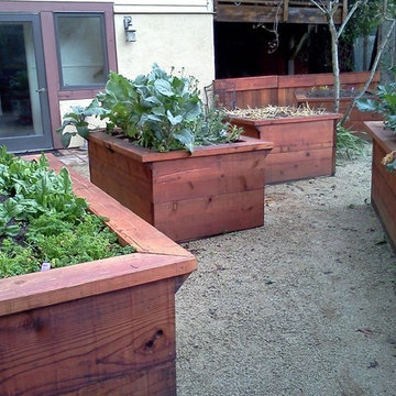 Vegetable Boxes