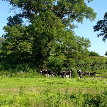 The Old Piggery