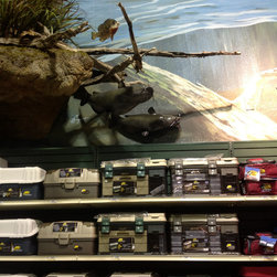 Bass Pro Shops Interior Decorating - 34" Channel Catfish Fish Mount Replica - Home Decor