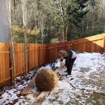 Mission Impossible MakeOver! Specimen Trees & Patio Down Extreme Slope