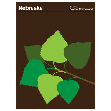 Nebraska Eastern Cottonwood Print