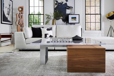 Example of a minimalist living room design in Richmond