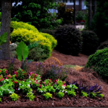 Annual Beds