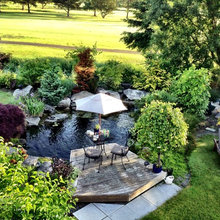 Our backyard Koi Pond