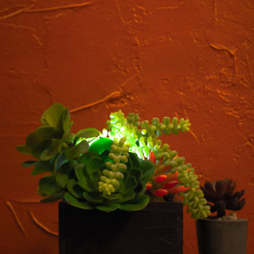 Succulent Garden - Medium
