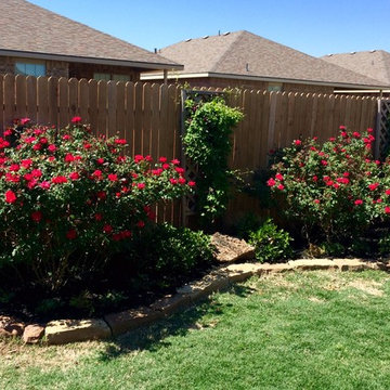 New flowerbed with large rose bushes