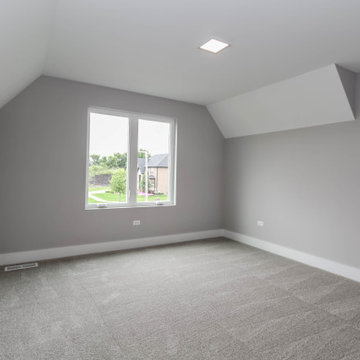 Modified Laguna I | Reserves of Dunmoor Estates Plainfield, IL