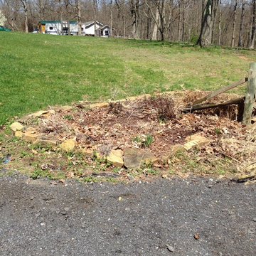 Spring Clean-up