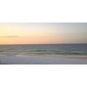 Amy Skelton's photo
